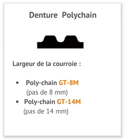 image guide taille denture polychain courroie synchrone polychain