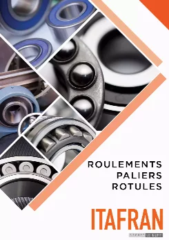 Catalogue roulements, paliers, rotules PDF