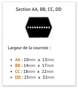 image guide de taille courroie hexagonale