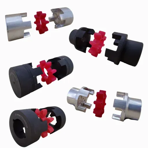 Accouplements ACPG