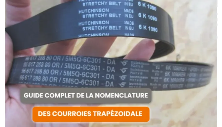 courroies trapézoidales