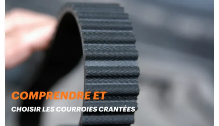 Les courroies crantées