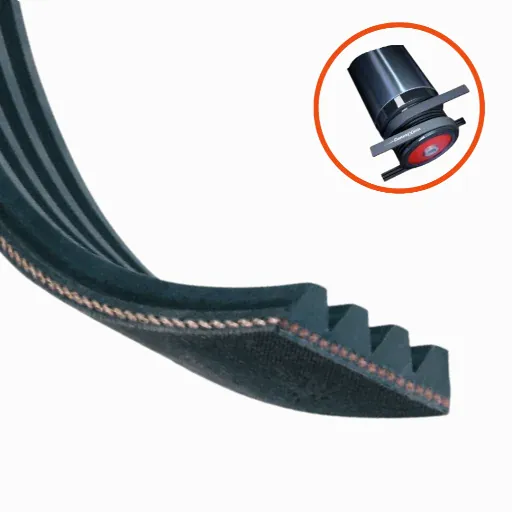 Courroies striées Poly-V - Conveyxonic